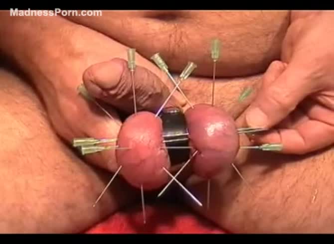 Femdom Cock Ball Torture