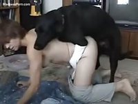 Husbands private collection of his wife having bestiality sex with a dog