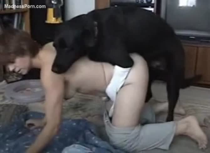 Husbands private collection of his wife having bestiality sex with a dog - Zoophilia Porn, Zoophilia Porn With Dog at MadnessPorn