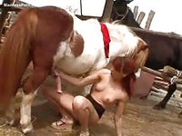 Wild redhead never before seen young wife enjoying a bestiality session with a horse