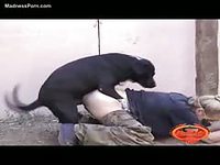 Videos of people having sex with dogs