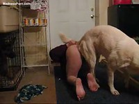 Horny man craves cock and gets it doggystyle from an animal