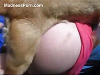 Recently divorced big-bottomed girl getting screwed in this beast sex video
