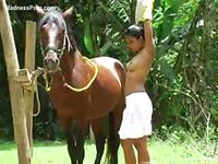 Horny slut penetrated by a horse