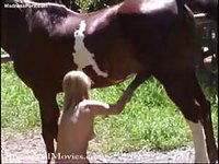 Deep throating a horse's cock