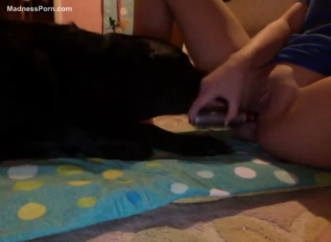 Hairbrush Fucking And Letting Dog Lick Pussy
