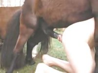 Girlfriend captures zoophilia video of her man anal fucked by a horse