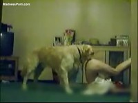 Skinny teen animal sex lover gets eaten and fucked by her mutt