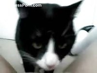 Black and white cat tasting a young sweet teen girls pussy in this beast fetish video
