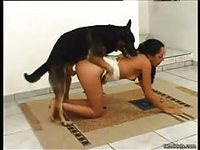 Pleasing girlfriend agrees to get on the floor doggystyle to have animal sex with her mans dog