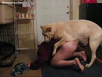 Deep anal dog dicking for this animal sex loving guy