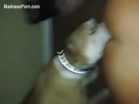 Sex starved amateur wife with a tramp stamp enjoying oral sex from an animal