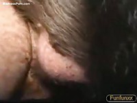 Amateur guy opens his hairy ass for beast sex with a pig
