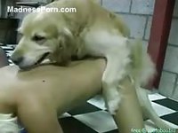 Blonde chick has anal sex with a dog