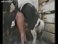 Mature amateur pleases her husband's bestiality fetish in this hardcore video with a horse