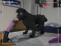 Bizarre animated video featuring a large cat and a purple dildo