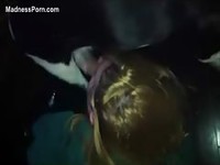 Blonde whore that loves sucking cock shows her skills off on a K9 in this beast sex movie