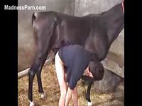 Guy pleases his new hot girlfriend by giving her horse a blowjob