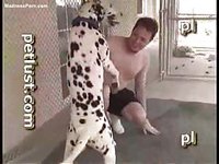 Pussy starved somewhat bisexual amateur guy enjoying a zoophilia tryst with his dog