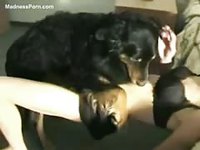 Freaky brunette wife hangs off the bed with her legs spread for animal sex with the family pet