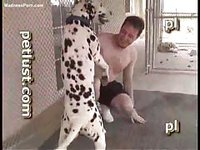 Horny amateur guy enjoying beastilaity play with his spotted four legged friend