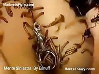 Helpless asian teenage girl in bdsm being covered in live bugs while completely nude