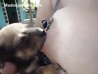 Bodacious mature woman letting her young puppy suck her nipple