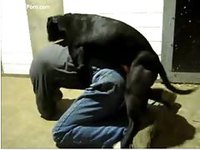 Part-time cop with a beastiality fetish getting fucked by his K9 partner