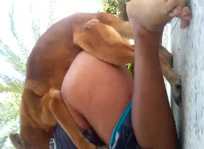 Homemade Wife Fucking Dog Webcam - Happy never before seen wife records herself having zoophilia sex with her  dog outside - Zoophilia Porn, Zoophilia Porn With Dog at MadnessPorn