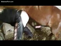 Happy wife gets her way and engages in zoo sec with a massive horse
