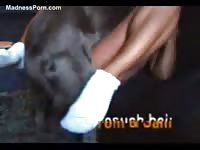 Sex starved middle-aged woman opening wide for sex with an animal