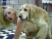 Book and Film - Pair of filthy mature sluts with real breasts getting screwed by a large dog