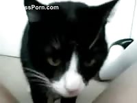 Petite kitty is gently licking Angela's wet pussy
