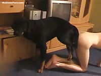 Curious young teen newcomer gets her cunt fucked by a dog