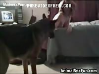 Lucky guy watches hot MILF engage in animal sex with his dog