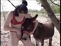 Cute redhead coed in red panties masturbating in front of a donkey