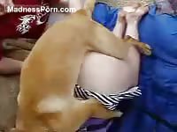 Excited boyfriend helps his hot blonde slut get fucked by his dog