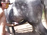 Topscore Porn Zoo - Extremely skinny amateur taking a huge anal insertion while blowing a horse