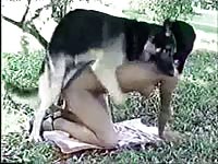 Wonderful beastiality compilation video featuring whores fucking dogs