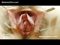 Hairy vagina gets stimulated