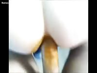 Scat fetish lovers rejoice as this whore gets poop all over her mans big dick during deep anal