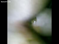 Closeup video of a messy used asshole as a MILF poops during anal with her scat loving man