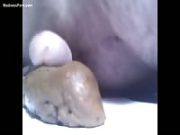 Lonely dude sliding his cock all over a fresh piece of scat