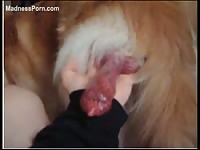 Proud animal owner grabs her pets swollen and erect cock and proceeds to model it by hand