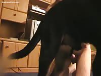 Sex charged amateur college guy getting nailed by his dog