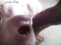 Dirty redhead pleasing girlfriend waits with her mouth open while being shot with dog sperm