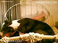 Zooskool - Hungry for sex this fresh-faced cougar with a heart-shaped ass fucked her dog