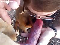 Curious never before seen married hoe sucking dog dick outdoors
