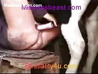 Ugly slut with a big tattooed ass gets fucked by a horse