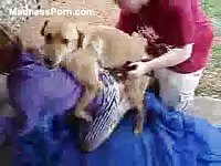 Money hungry eighteen year old agrees to lift her skirt for zoophilia penetration with a K9